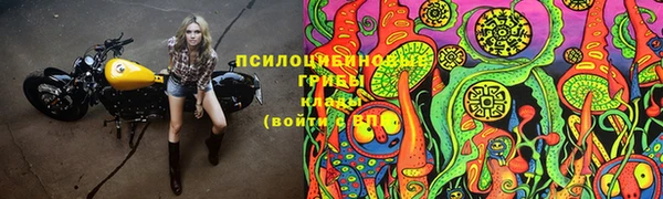 меф VHQ Дмитриев