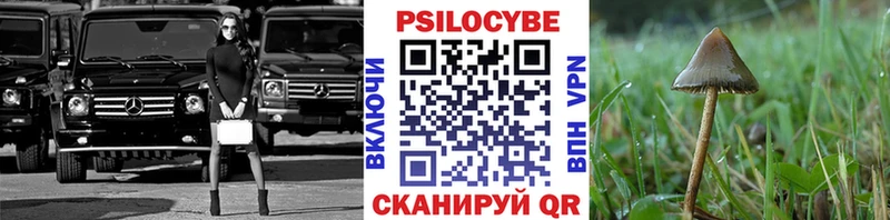 Галлюциногенные грибы мицелий  где купить наркоту  Кадников 